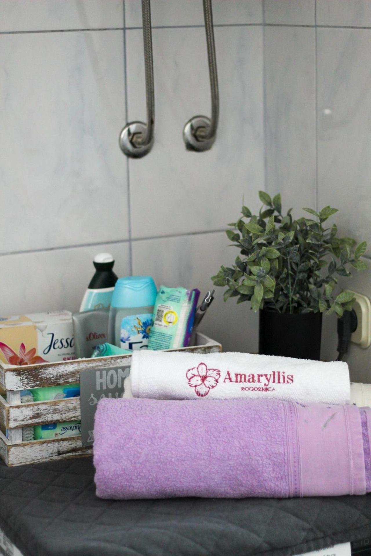 Apartament Amaryllis Rogoznica  Zewnętrze zdjęcie